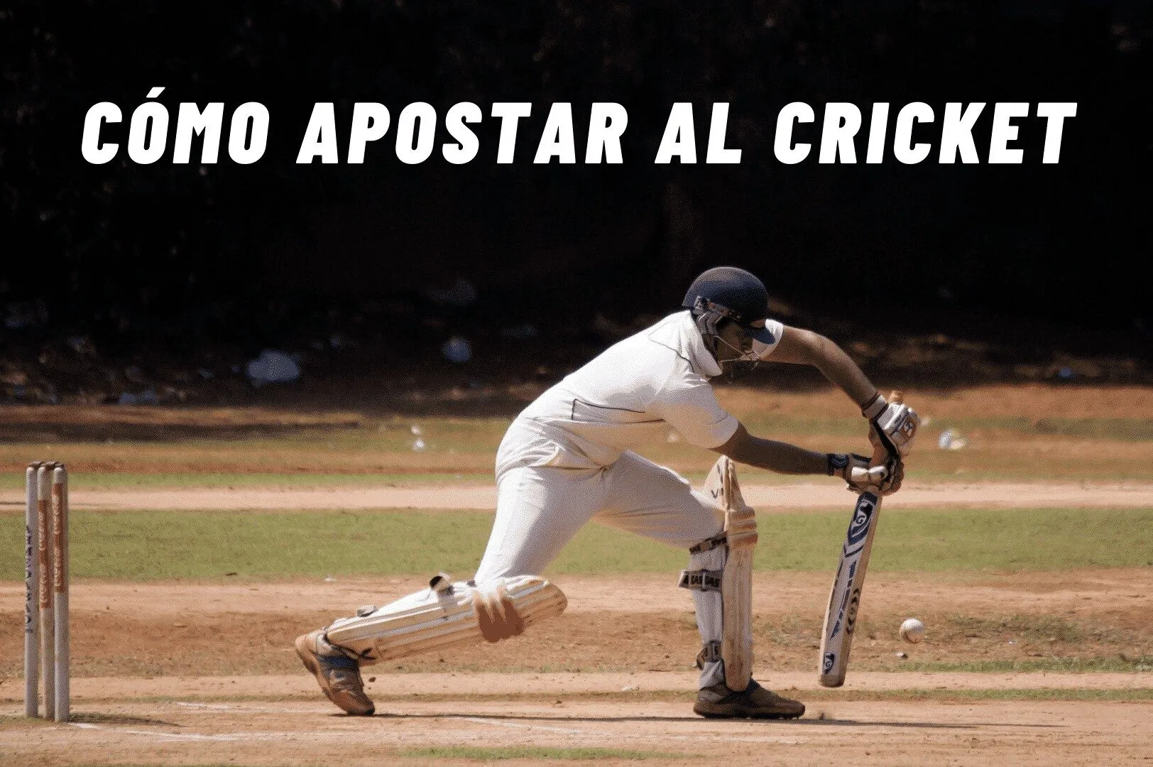 Cómo apostar al cricket