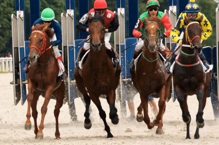 Cómo apostar en las carreras de caballos